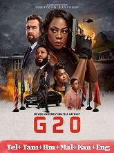 G20